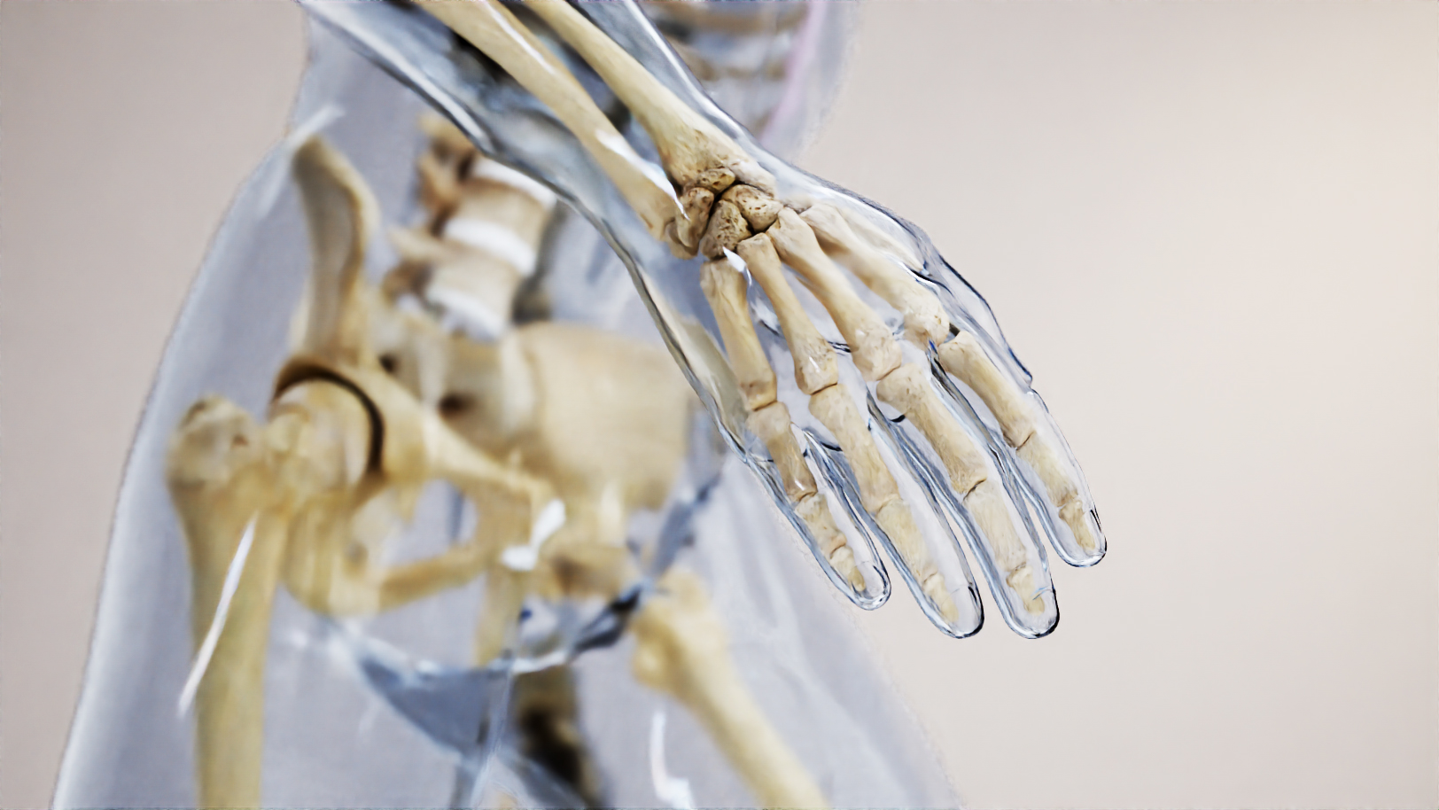 Biomechanics of the human gait